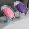 Leef Normal Soap Box - Standard Size & Regular Design product shot displaying key design features and visual details for e-commerce cataloging.